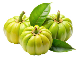 green and yellow pumpkin