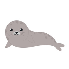 cute cartoon seal