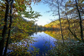Fototapeta premium Landscape at the Seehofweiher pond in the Porzbach Valley. Waters along the Porzbach stream in the forest. Autumnal nature at the bathing lake. 