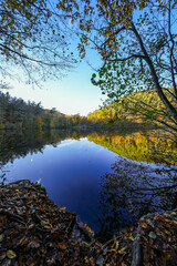 Obraz premium Landscape at the Seehofweiher pond in the Porzbach Valley. Waters along the Porzbach stream in the forest. Autumnal nature at the bathing lake. 