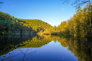 Landscape at the Seehofweiher pond in the Porzbach Valley. Waters along the Porzbach stream in the forest. Autumnal nature at the bathing lake.
