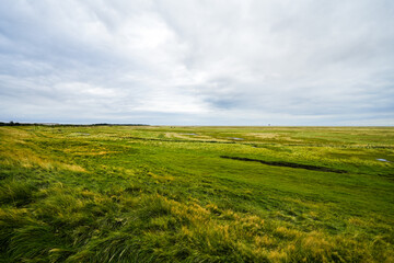 Landscape on the Danish island of Rømø. Nature on the coast in Denmark.
