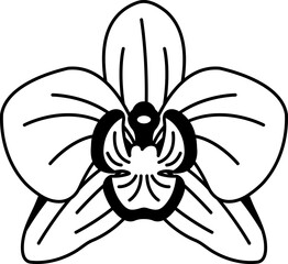 black and white illustration of Thai orchid