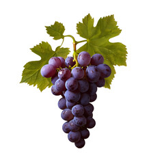Fototapeta premium blue grapes on a transparent background