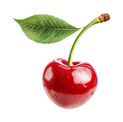 Fresh red cherry with leaf on stem close-up, cut out - stock png.
