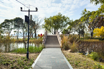 Tranquil Bridge Over Water in a Picturesque Park Setting