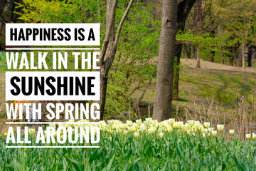 Inspirational motivational quote on cherry blossoms flowers background. spring and happiness concept Self reminder