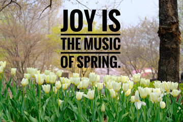 Inspirational motivational quote on cherry blossoms flowers background. spring and happiness concept Self reminder