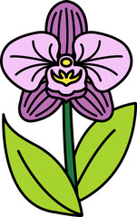 single icon of Thai orchid
