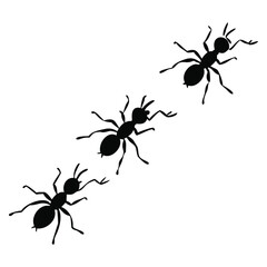 Vector isolated ant crawling silhouette set collection.