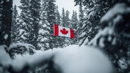 The Canadian flag seen through a snow-covered forest, representing resilience in harsh environments,