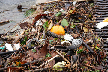 Various types of debris, including organic waste and plastic, accumulate along the riverbank