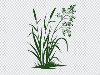 Elegant green wild grass and delicate foliage silhouette design perfect for eco-friendly themes, landscape decoration, organic projects, and natural vector artwork with transparent background.
