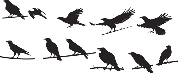 Black silhouettes, multiple crows, ravens on branches, flying birds, detailed bird outlines, perched birds, various poses, crow illustrations, graphic design elements, nature-inspired art, minimalist 