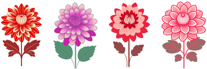 Fototapeta premium Simple flat illustration of four dahlia flowers with stem and leaves, isolated on transparent background
