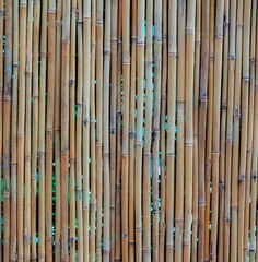 Bamboo Natural Closeup Vertical Brown And Green Background