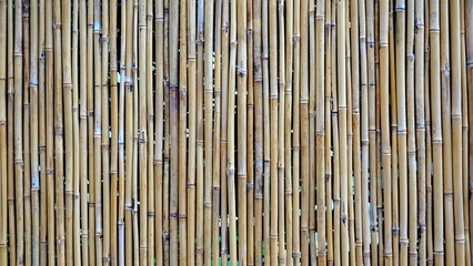 Bamboo Natural Close-Up Vertical Yellow Rustic Texture