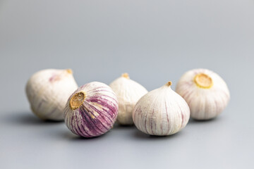 Solo glove garlic bulbs on gray background.