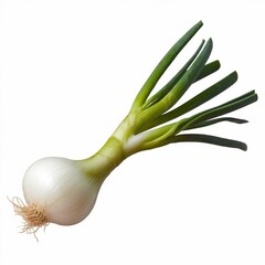 The image depicts a realistic fresh spring onion with a white bulb and long green stalks, surrounded by a white background, high detail, and natural lighting.