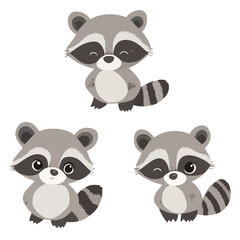 Fototapeta premium raccoon, animal, vector, transparent background, various