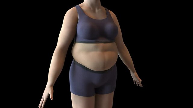 Woman getting fat and gaining weight, junk food and overeating leading to obesity, excess fat, from slim figure to overweight figure, 3D animation.