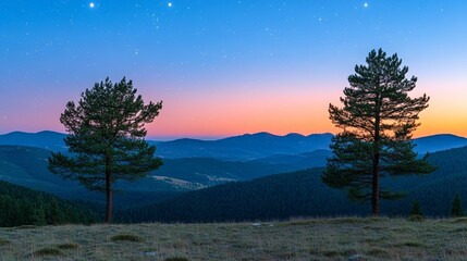Fototapeta premium A stunning image of pine trees silhouetted against the vast night sky, with its deep blue hue, forms a captivating contrast with the star-filled background