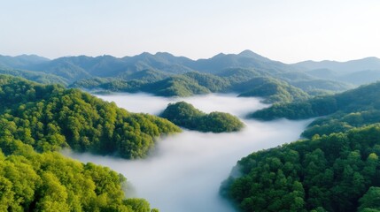 Misty mountain valley