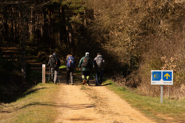 Pilger auf dem Camino de Santiago