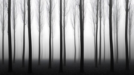 Fototapeta premium Foggy Forest with Monochrome Trees.
