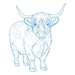 Simple Minimal Hand Drawn Highland Cow