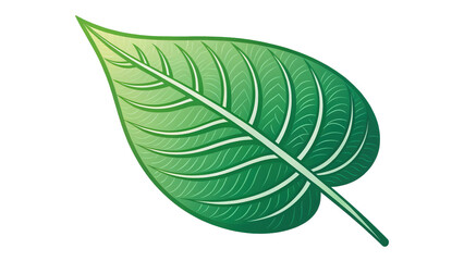 Obraz premium vibrant green leaf icon with smooth outline and detailed veins, isolated on transparency background, symbolizing nature and freshness