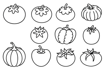 Tomato perfect balance of flavor and nutrition art