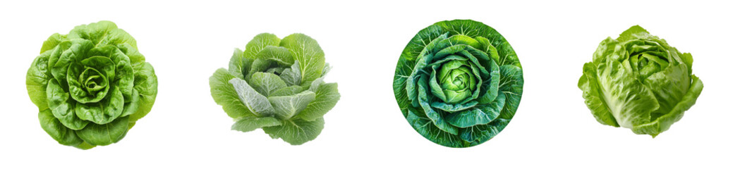 Collection of fresh lettuces isolated, cut out transparent