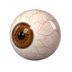 Realistic 3D human eyeball with brown iris