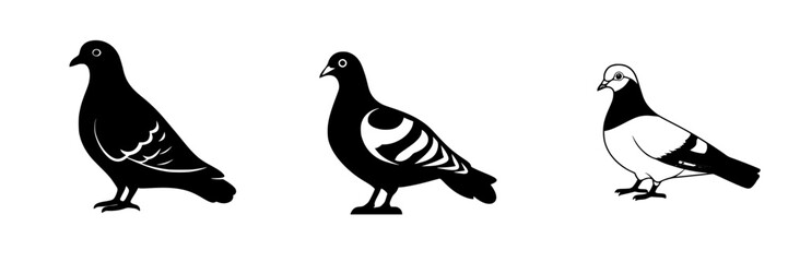 Various black icons of pigeons showcasing different styles and poses ideal for design projects and visual communication