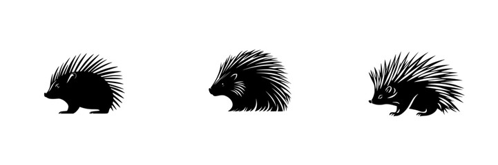 Stylized black icons of porcupines showcasing different postures and profiles