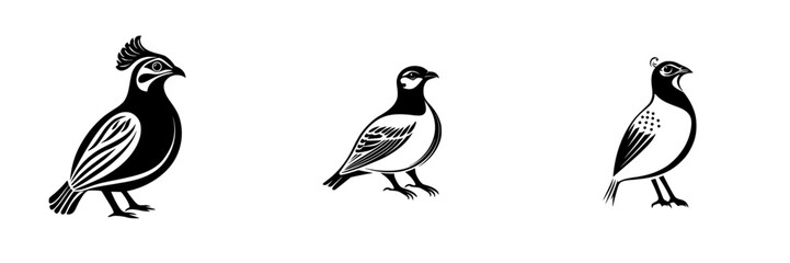 Set of black icons representing different bird species in a minimalist design for artistic and decorative purposes