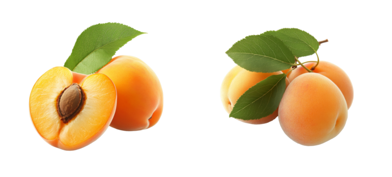 Apricots with leaves, half apricot, vitamins rich, cut out transparent