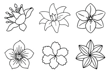 Tropic flowers splendor captured through art line art