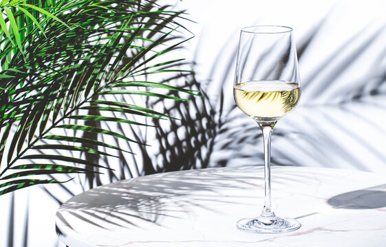 Non-alcoholic, alcohol free, white wine sauvignon blanc in glass. White background, palm leaves shadows, hard light
