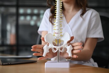 Showing the model of human spine. Woman doctor is in the office