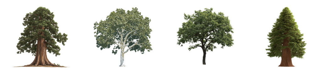 Obraz premium Trees collection isolated on black background, cut out transparent