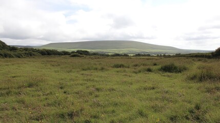 Obraz premium Serene Irish Landscape: Rolling Hills and Verdant Meadows