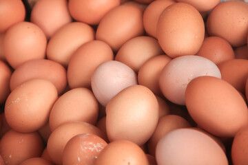 texture and background of organic chicken eggs. pile of raw chicken eggs
