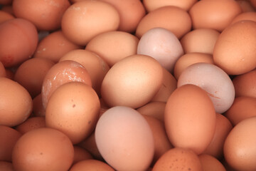 texture and background of organic chicken eggs. pile of raw chicken eggs