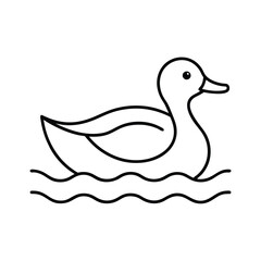 duck on white background