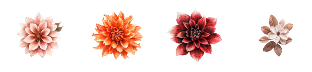 Four watercolor floral elements in various colors, cut out transparent