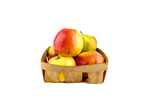 Harvest of apples in a wooden basket. Collecting apples in the garden. Fruit apple. Farm gardening. Agricultural business. Wicker wooden basket. Isolate in png format. Insert into mockup. Photo for te