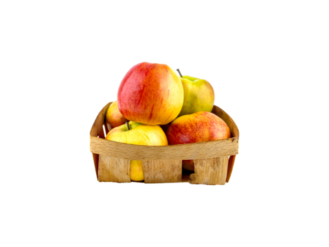 Harvest of apples in a wooden basket. Collecting apples in the garden. Fruit apple. Farm gardening. Agricultural business. Wicker wooden basket. Isolate in png format. Insert into mockup. Photo for te