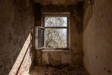 Ausblick aus dem Fenster